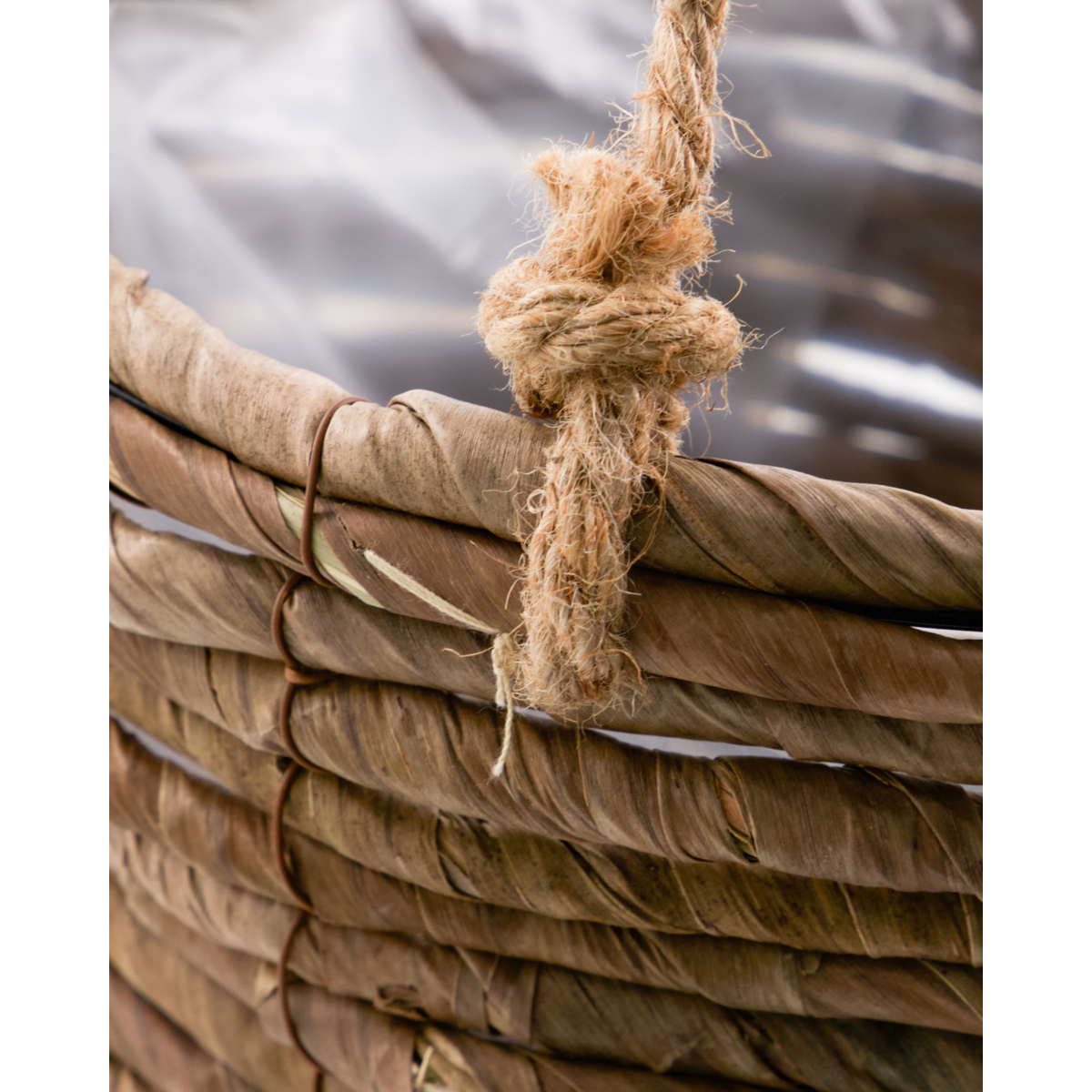 Urtekryter, hdhover, naturlig