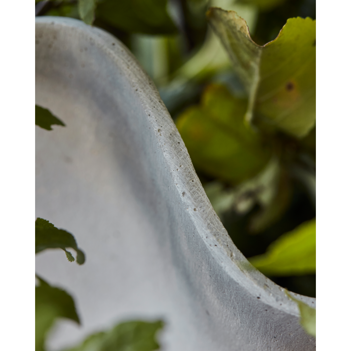 Urtekotte, hdvaso, grå