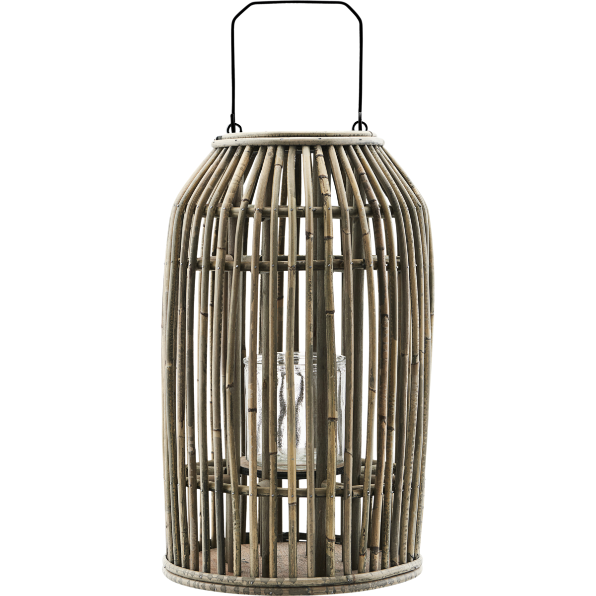Lantern, Hdova, natur