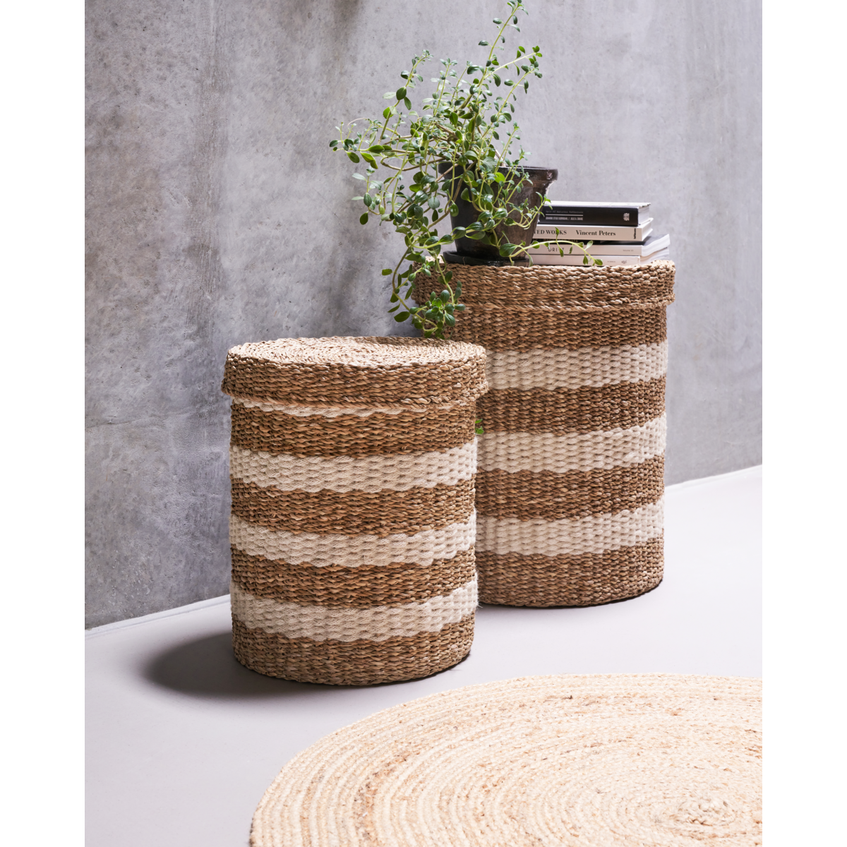 Lagringskurve, Hdgeet, natur; Brun