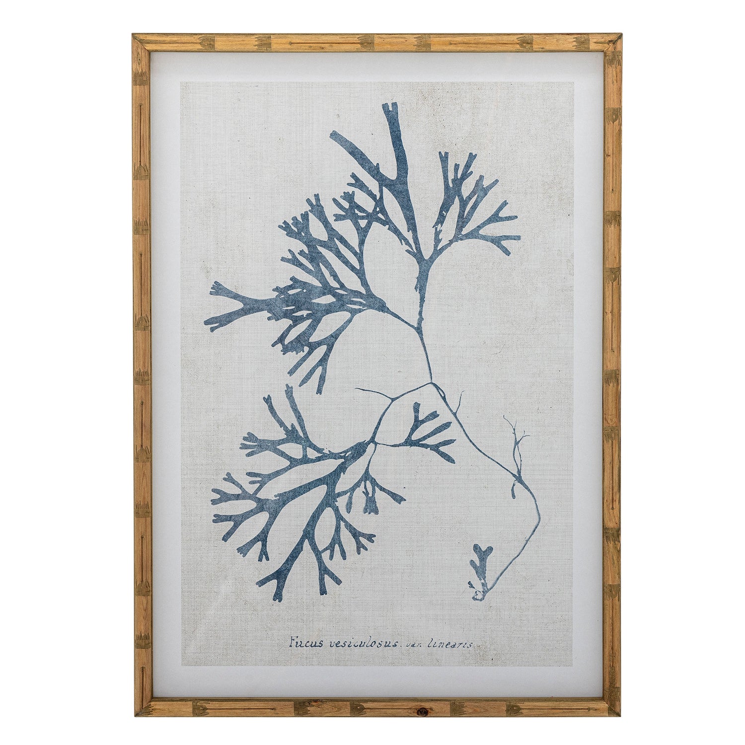 Kreativ samling sumner illustrasjon med ramme, natur, furu