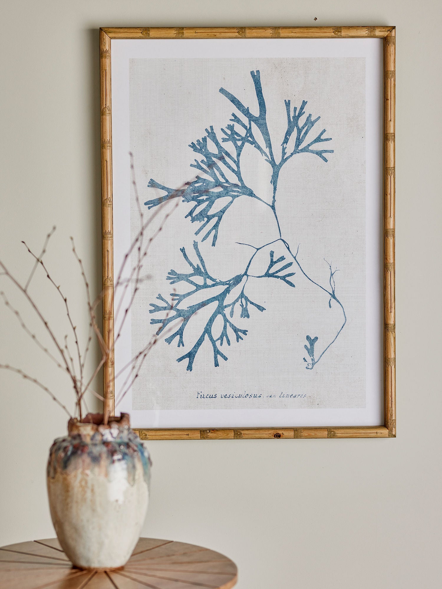 Kreativ samling sumner illustrasjon med ramme, natur, furu