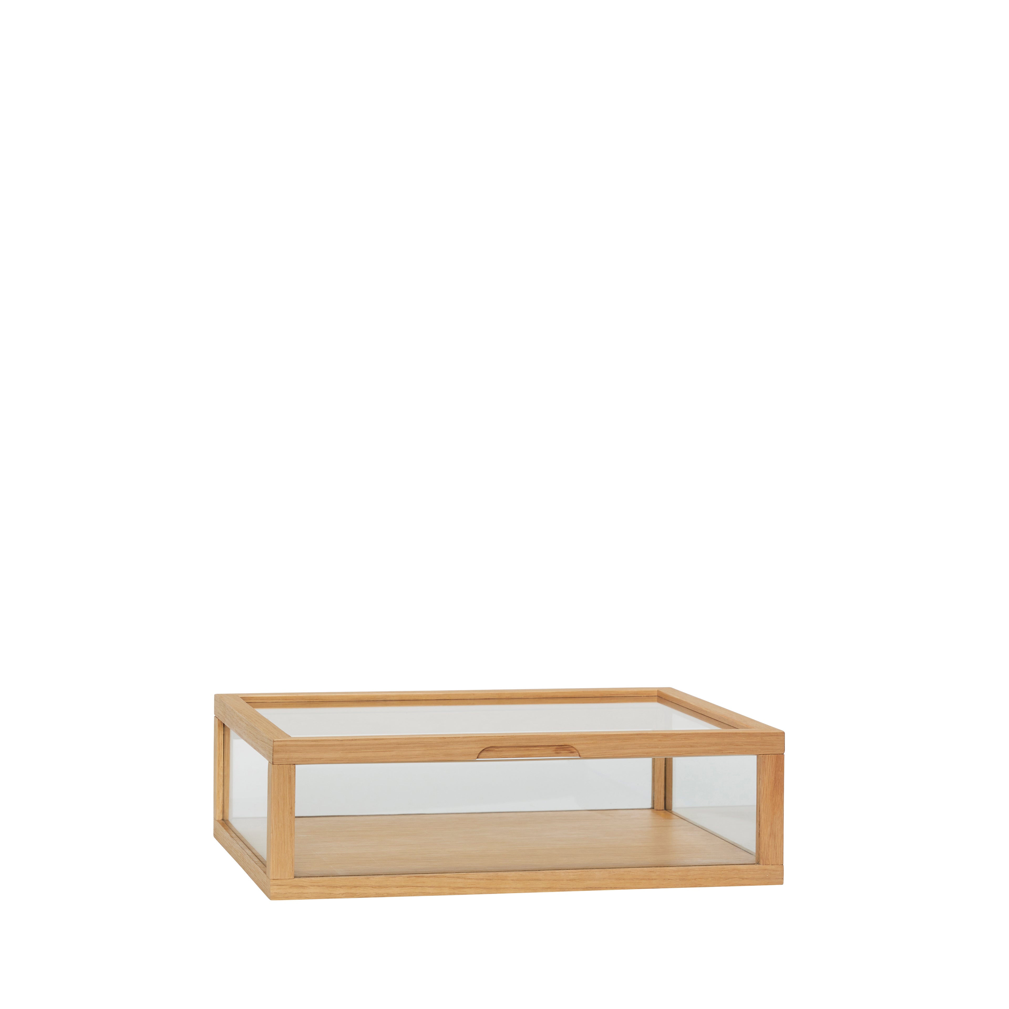 Vis utstilling Montre liten natur - 40x30xh12cm
