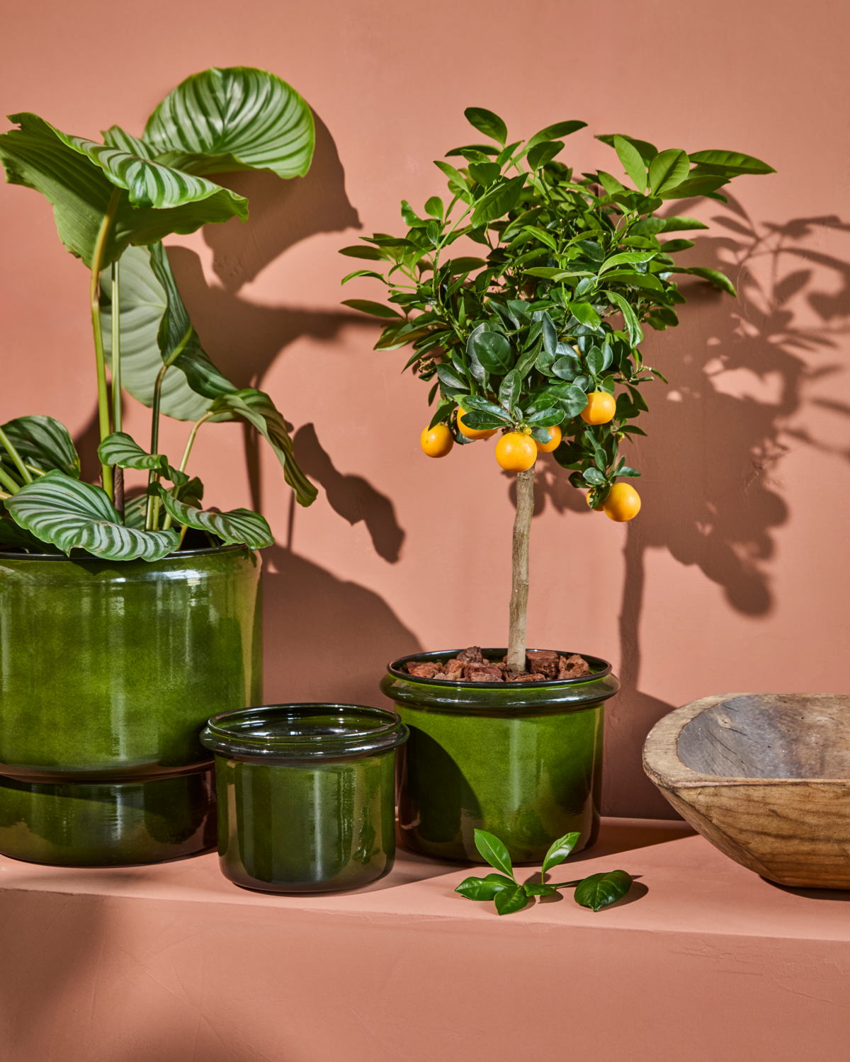 Plantepotte, HDHoop, Grønn