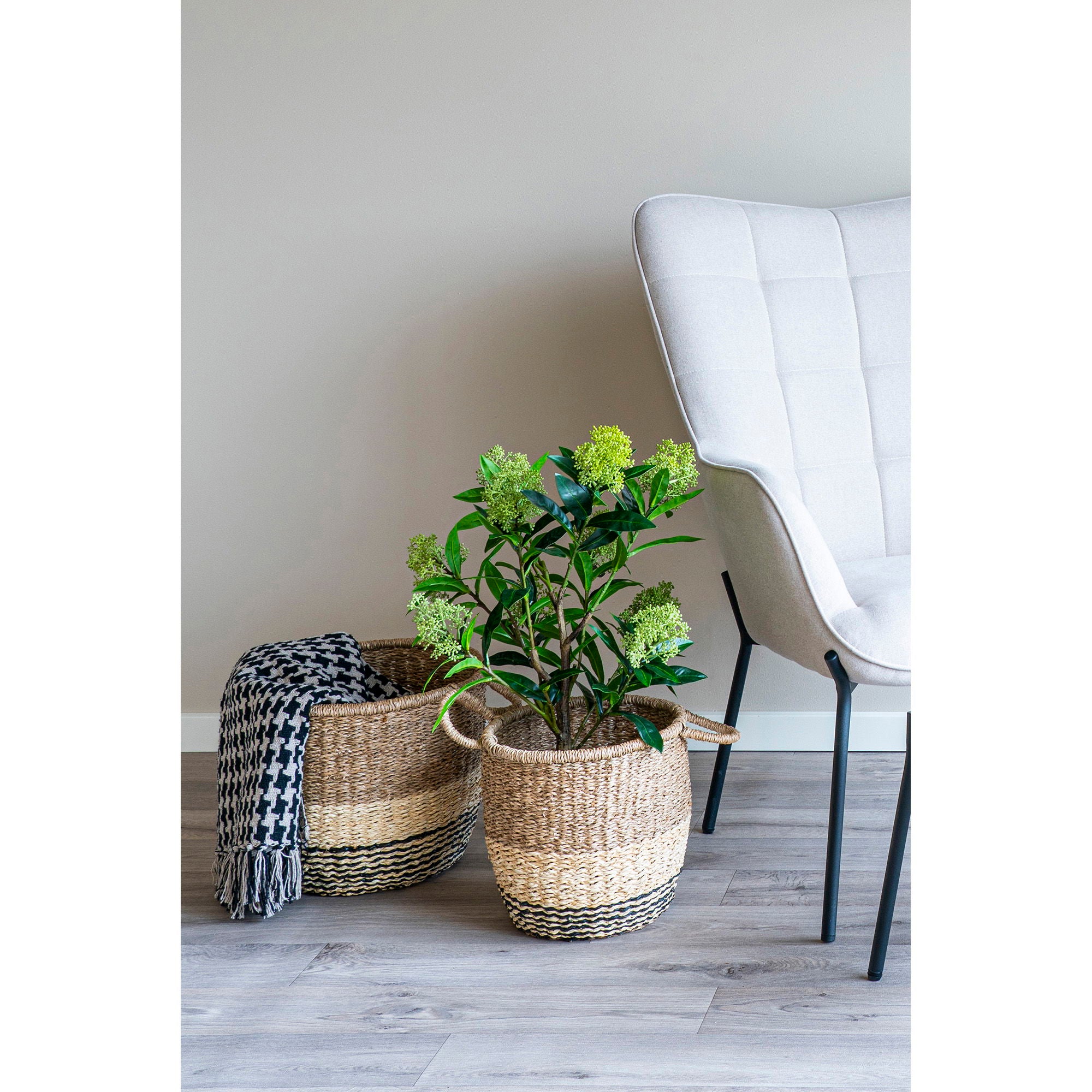 Skimmia Træ - Kunstig plante