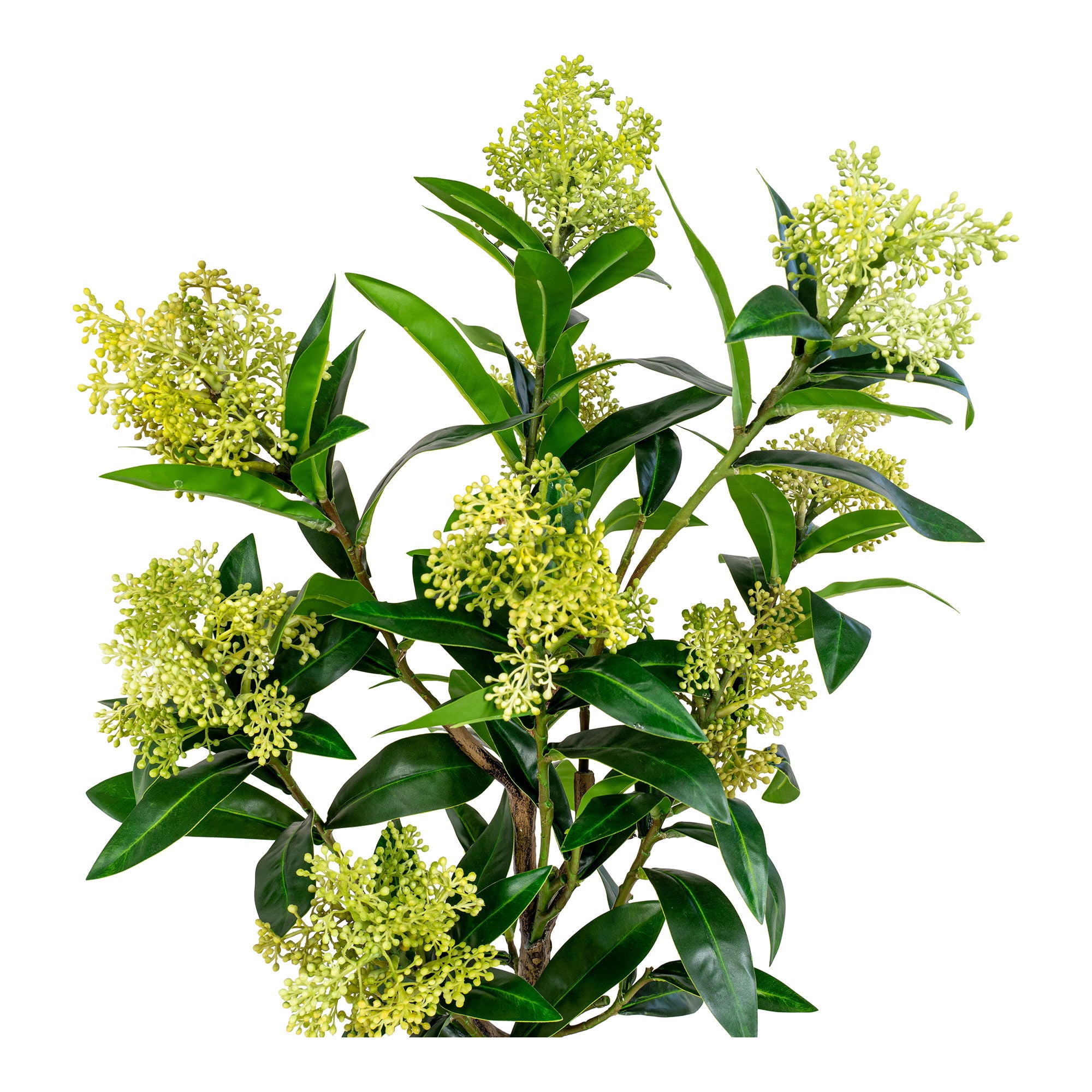 Skimmia Træ - Kunstig plante
