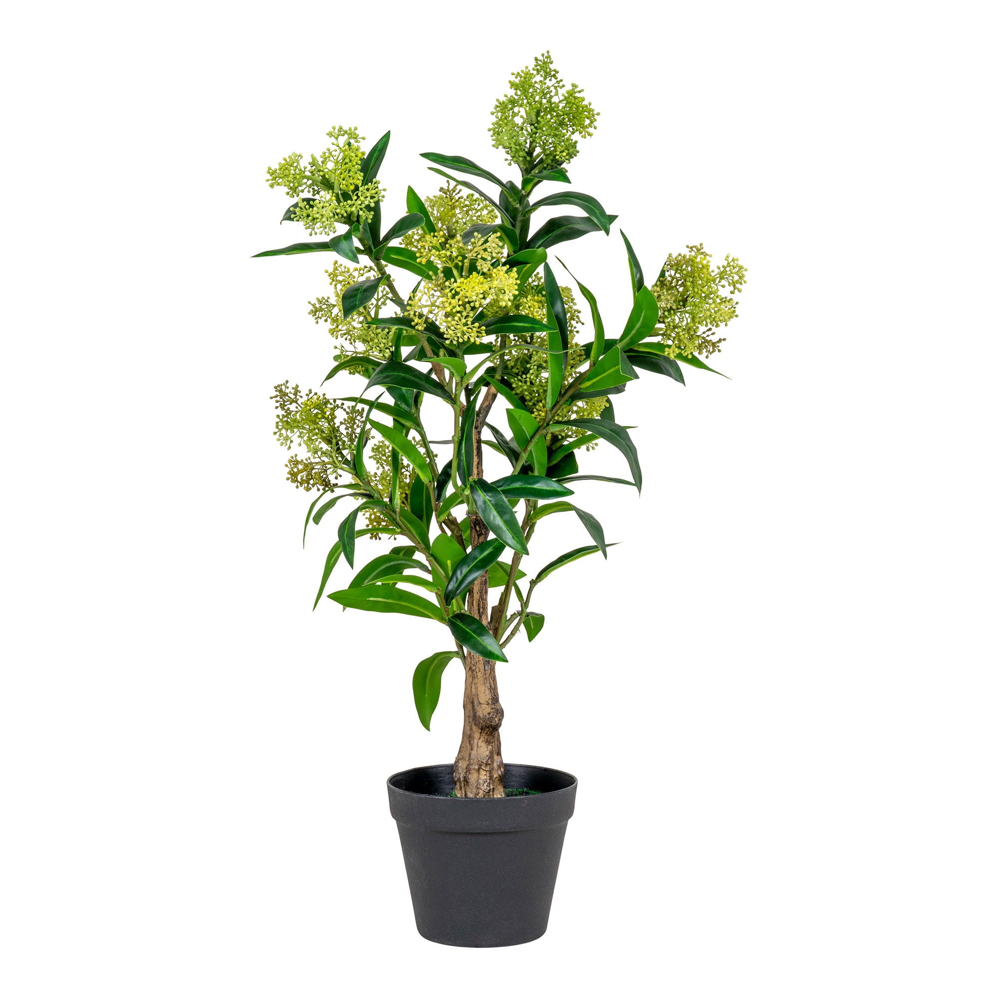 Skimmia Træ - Kunstig plante