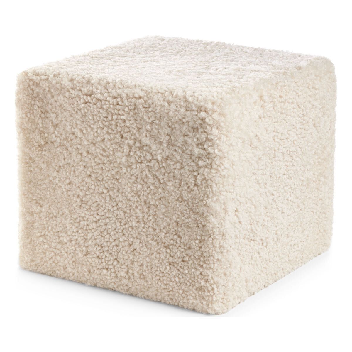 Puff | Korthåret | New Zealand