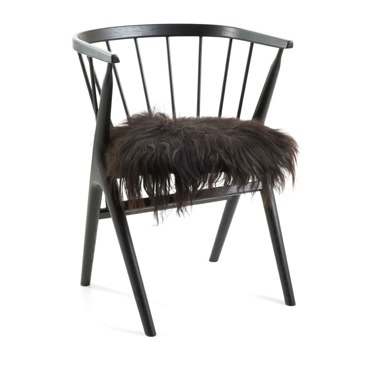 Setepute | Langhåret | Island | 40x40 cm