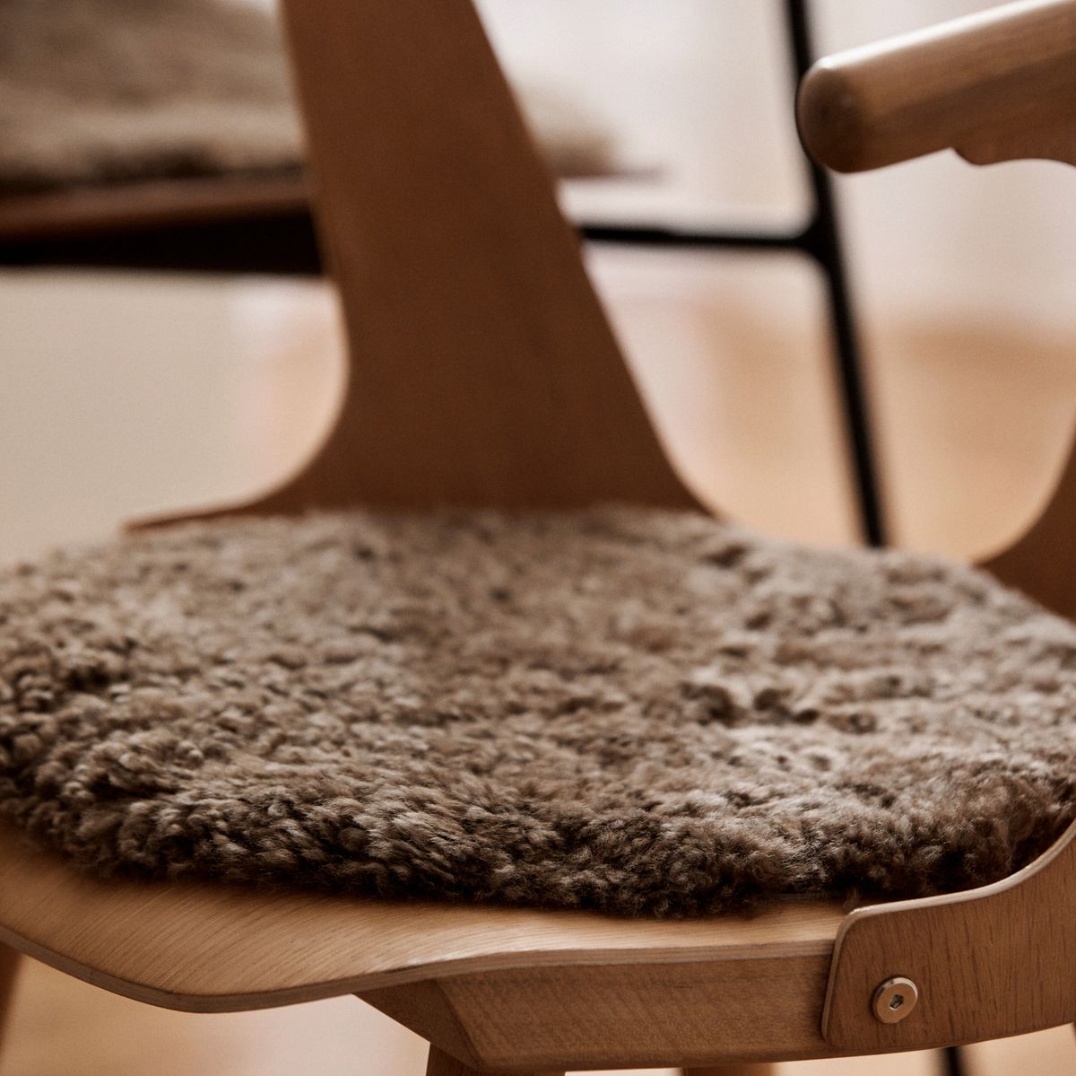 Setepute | Korthåret | New Zealand | Ø38 cm