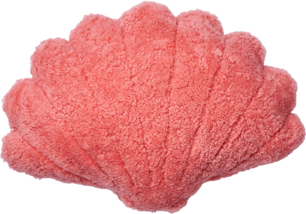 Skallpute | Korthåret | New Zealand