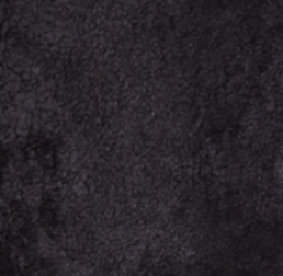 Shell Designer Riding | Kort hår | LAMBSKIN | New Zealand 210x150 cm