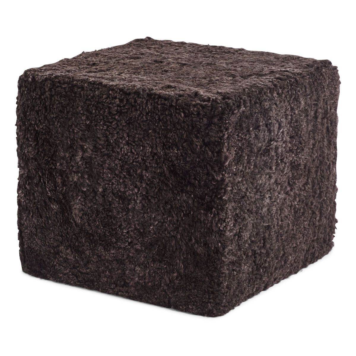 Puff | Korthåret | New Zealand