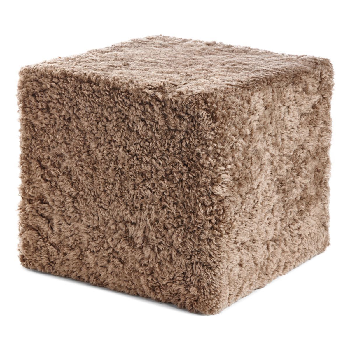 Puff | Korthåret | New Zealand