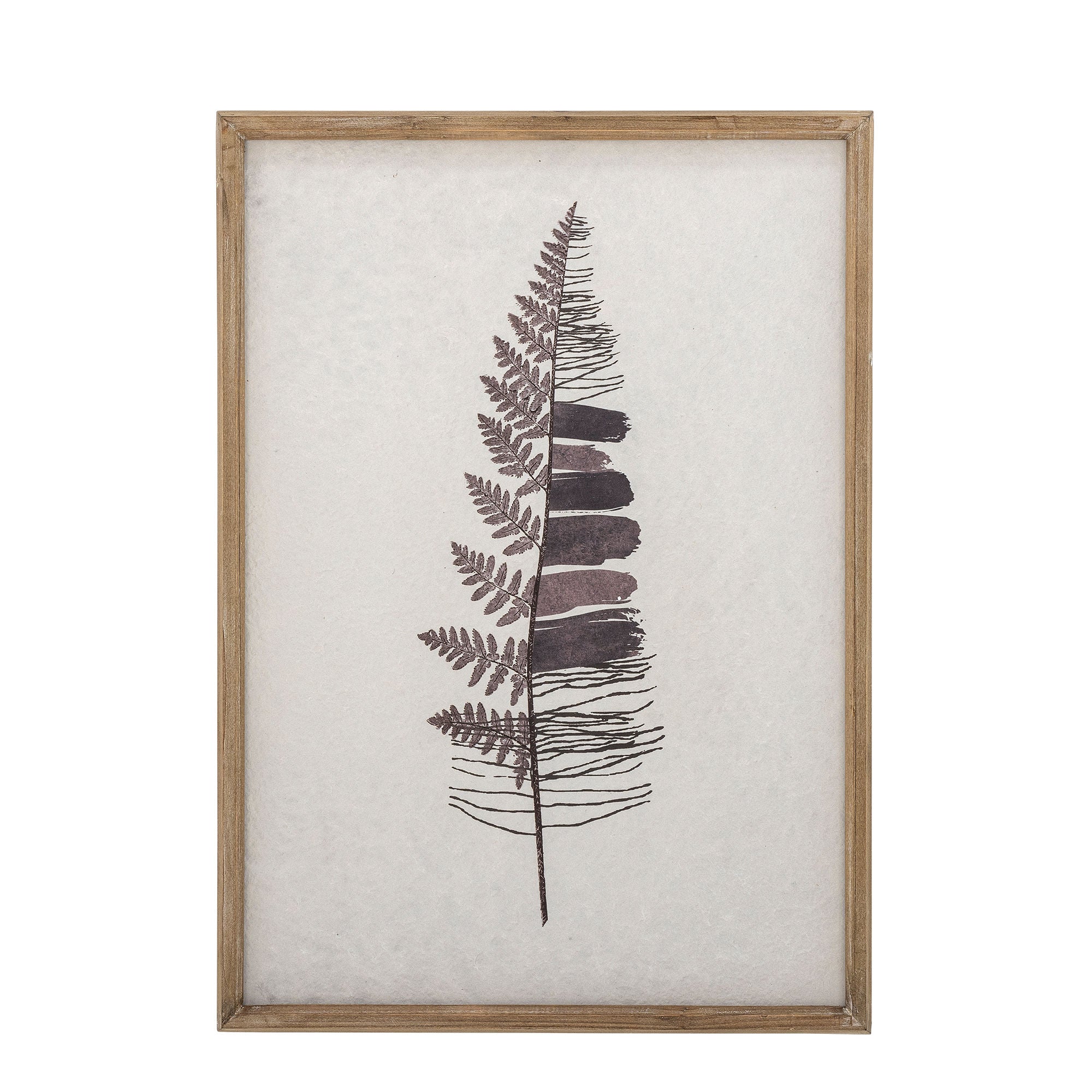Kreativ samling korval illustrasjon med ramme, natur, furu