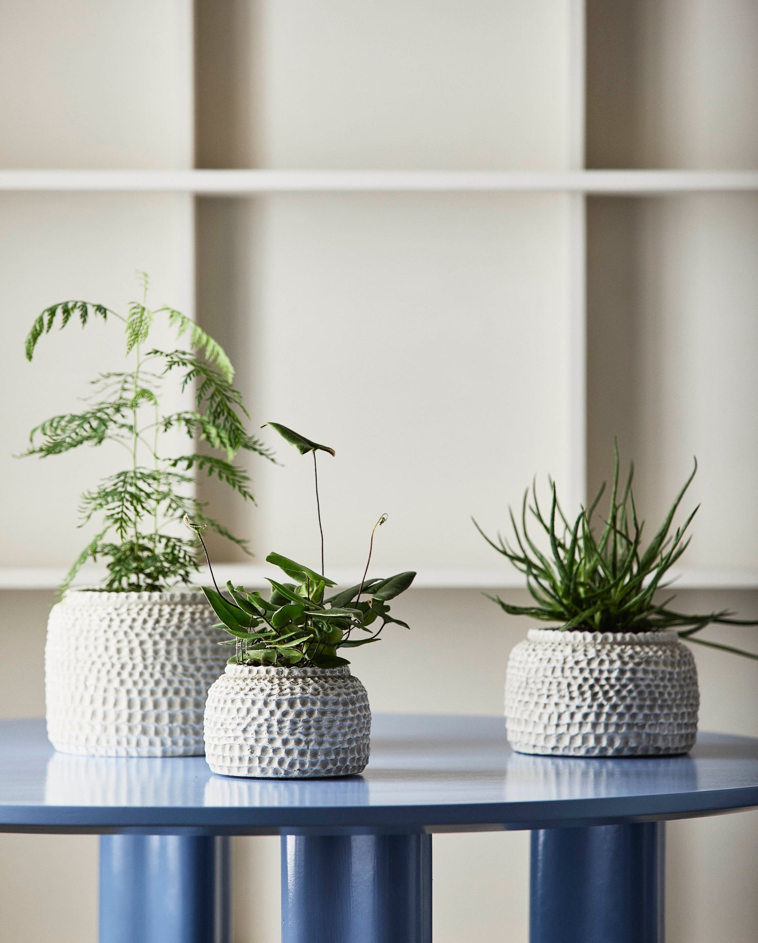 Aoba Jar i sement, M - White