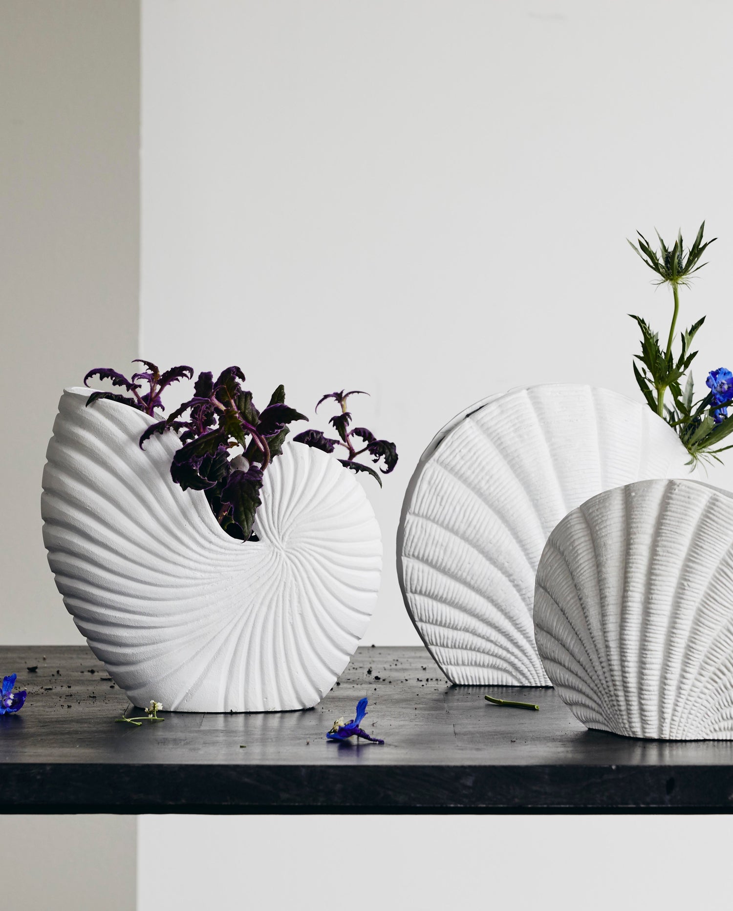 Rakitu Flower Vase - Conch - H25 cm - hvit