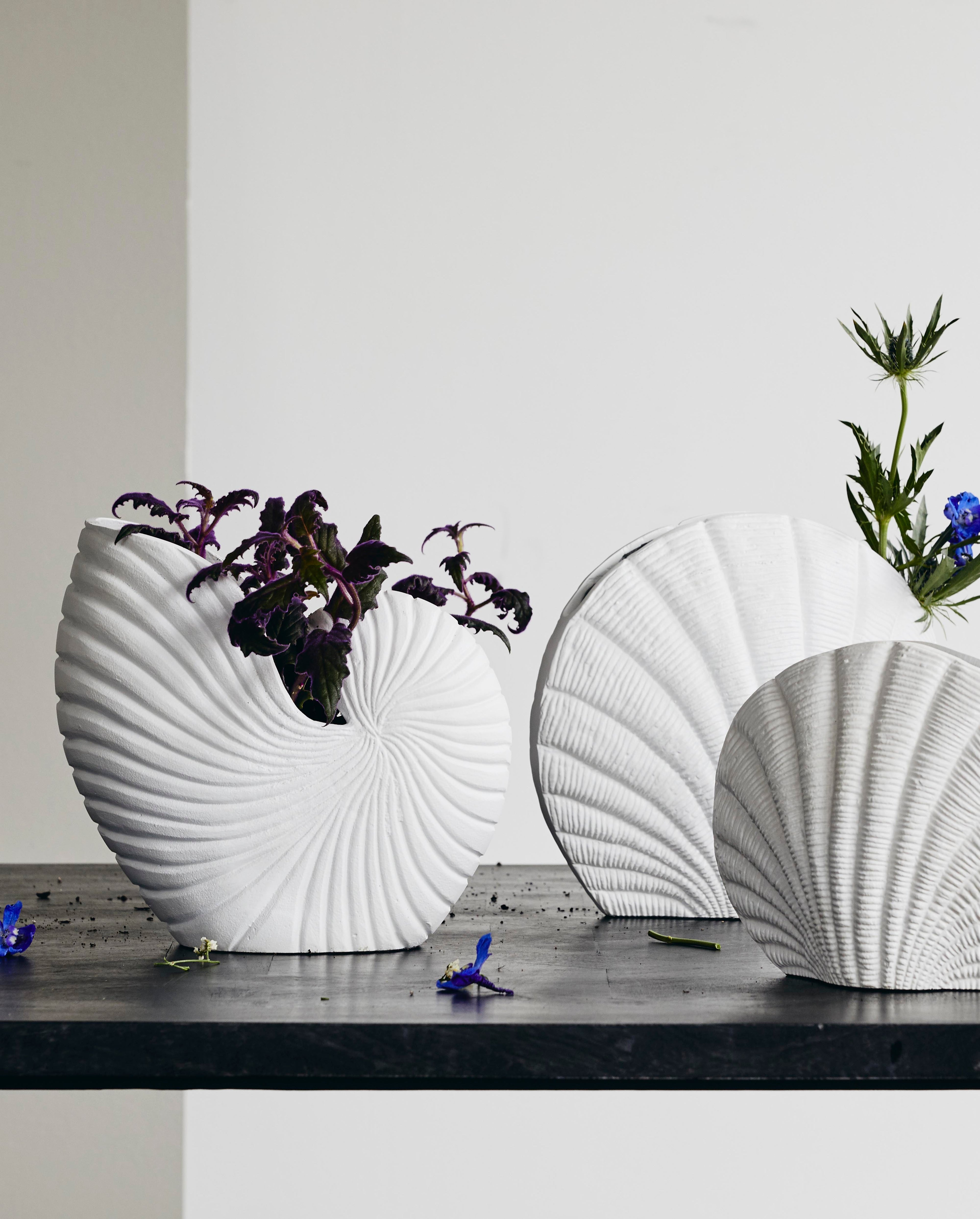 Rakitu Flower Vase - Conch - H25 cm - hvit