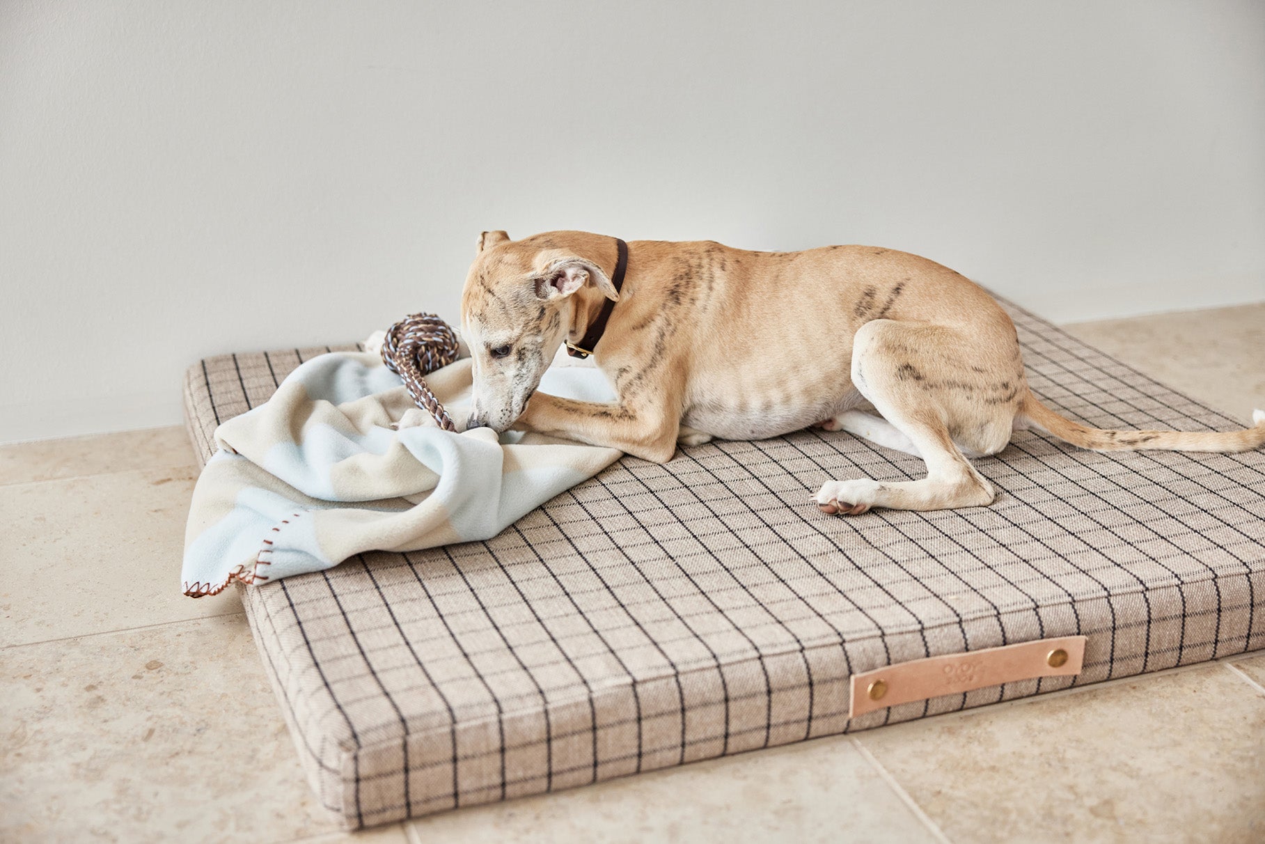 Oyoy Zoo Kaya Dog Blanket - STOR