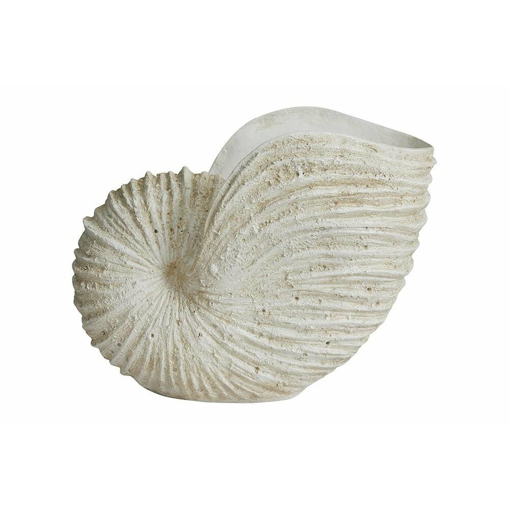 Ketoy Conch for dekorasjon - H41 cm - hvit