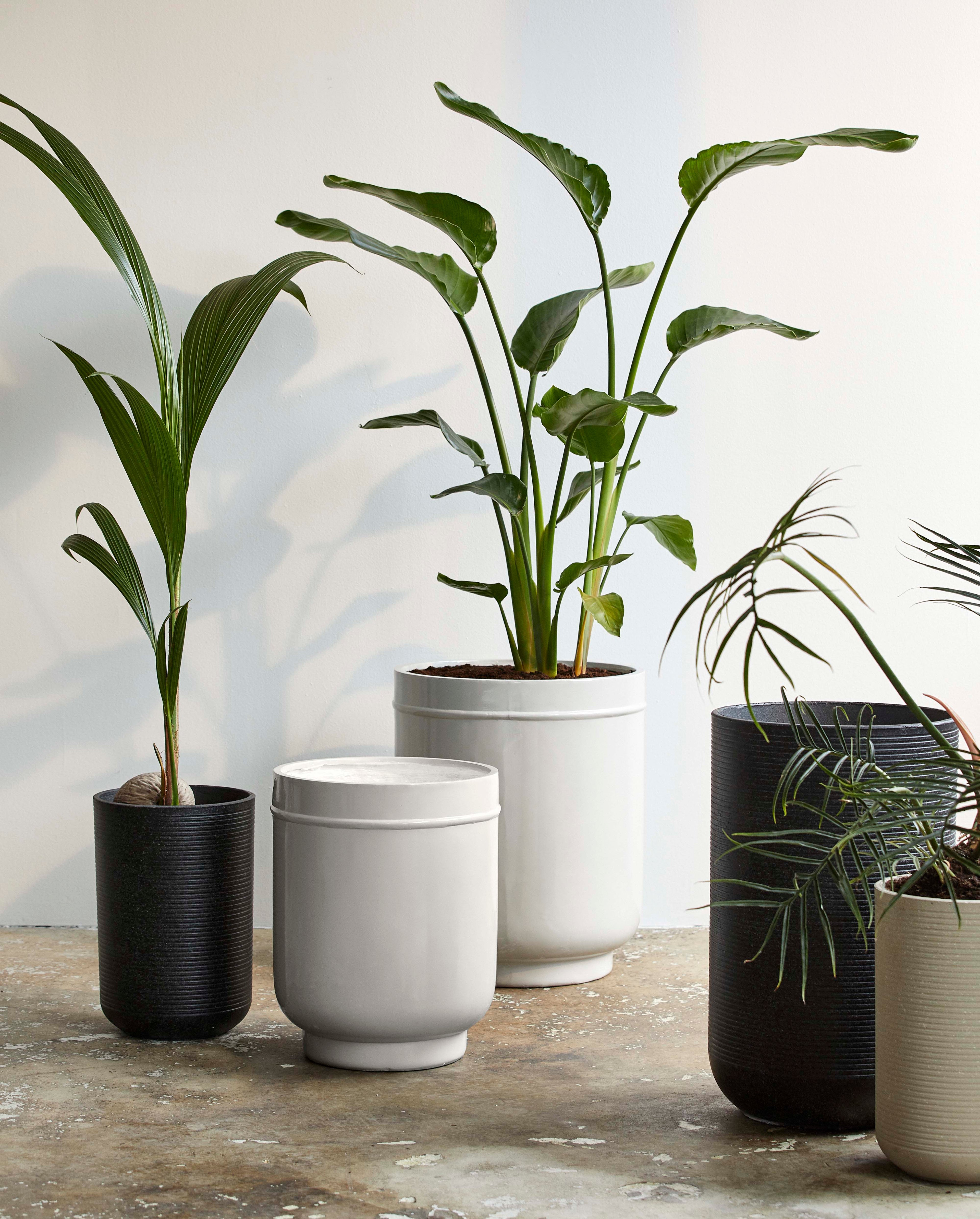 Eday Herbal Pots - 2 stk. - H56/46 cm - Grå
