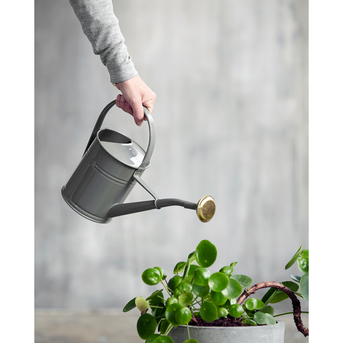 House Doctor - Vannkanne, HDWan, Grå