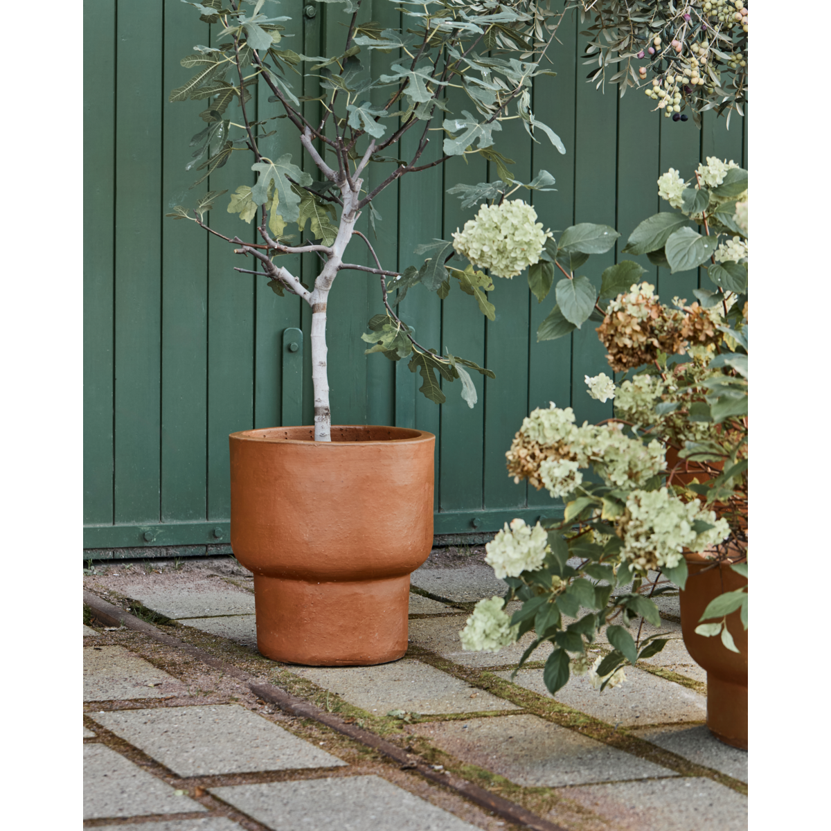 Urtekotte, hdterra, antikkbrun