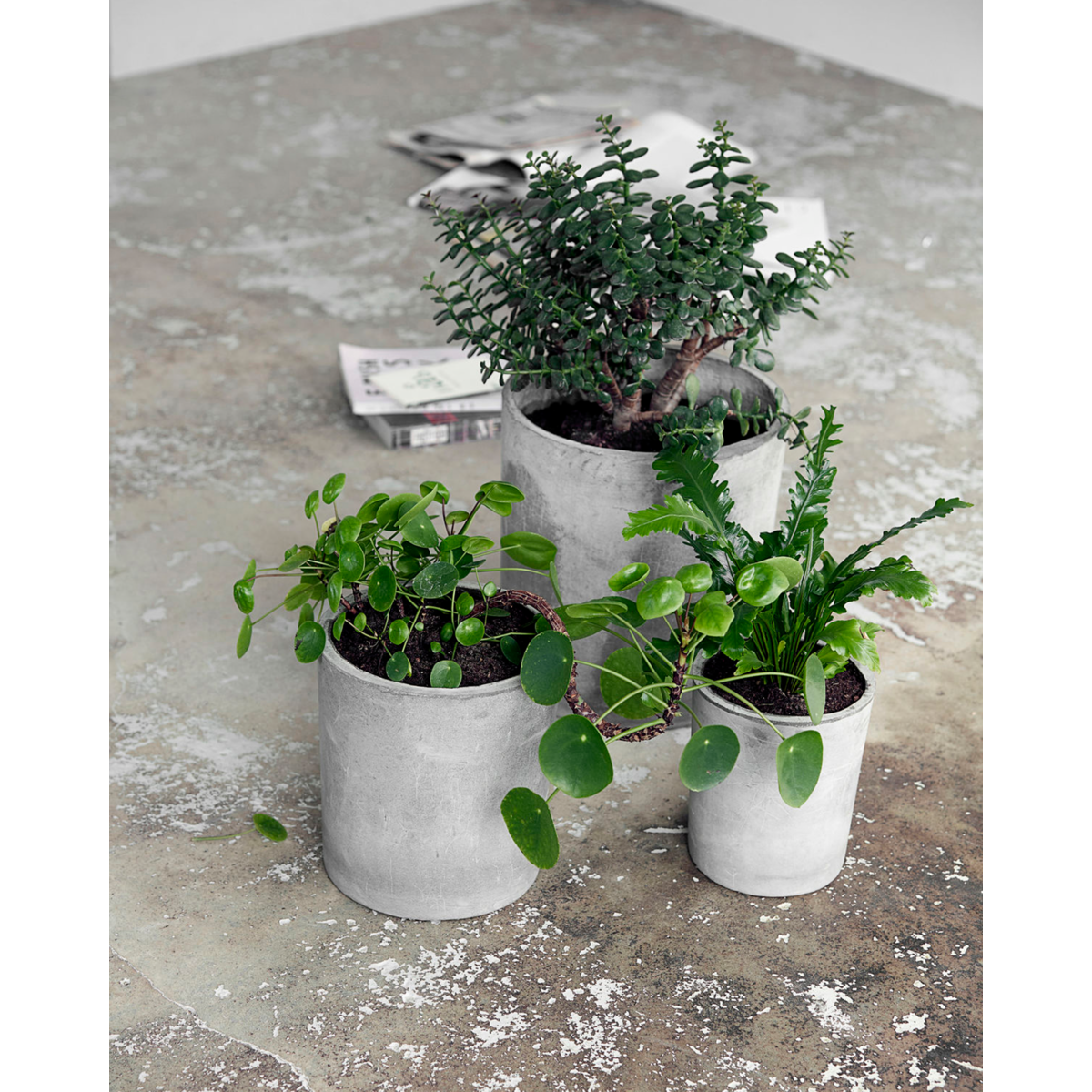 House Doctor Herb Pot, Ave, Light Grey-S :, H: 22 cm, DIA: 18,5 cm, M :, H: 27 cm, DIA: 24 cm, L :, H: