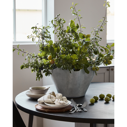 Urtekotte, hdvaso, grå