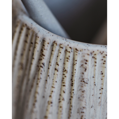 Tannbørsteholder, HDDECO, Raw White