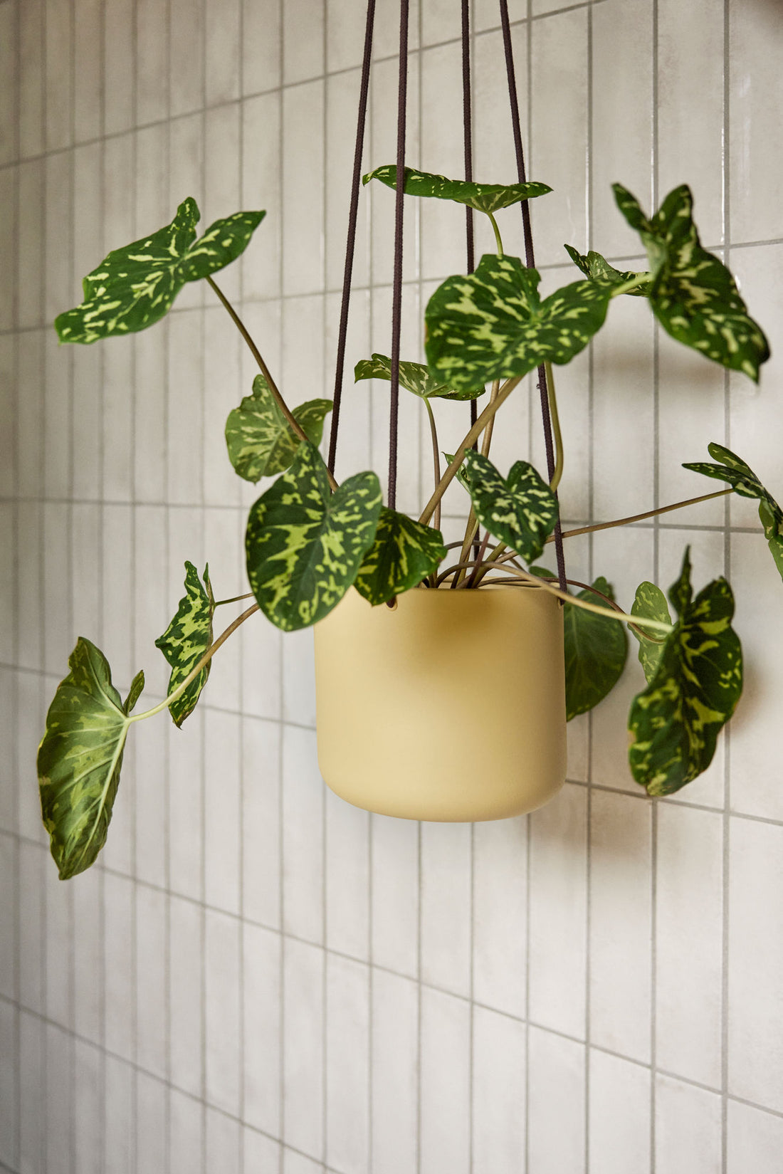 Bloom Hanging Potty Stort Khaki (sett med 3) - Ø17XH16, Ø21XH20, Ø25XH24cm