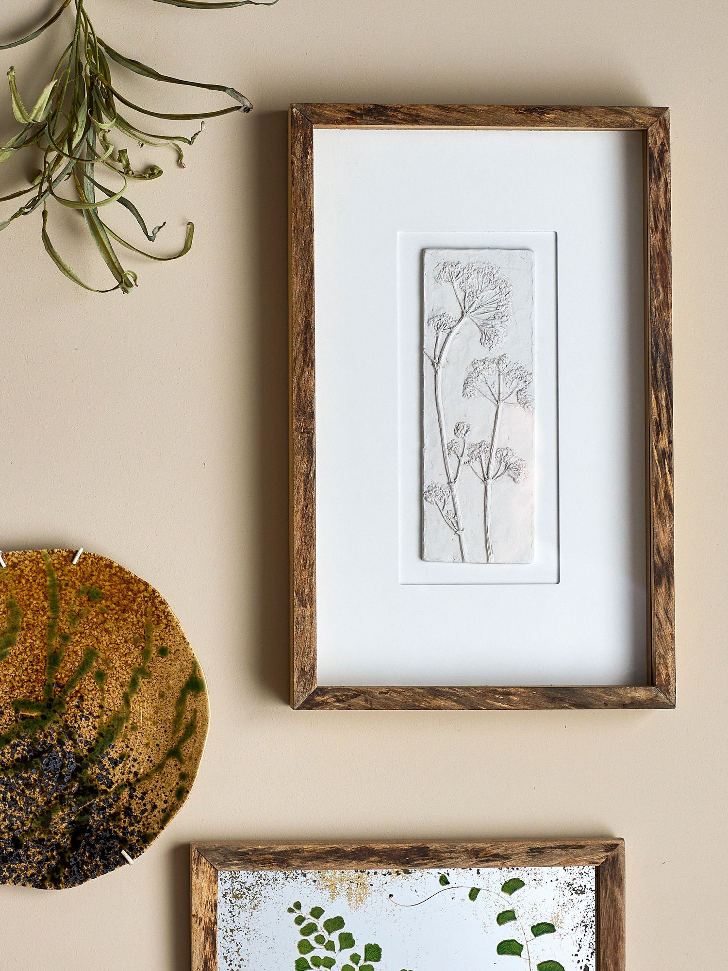 Kreativ samling mey illustrasjon med ramme, natur, furu