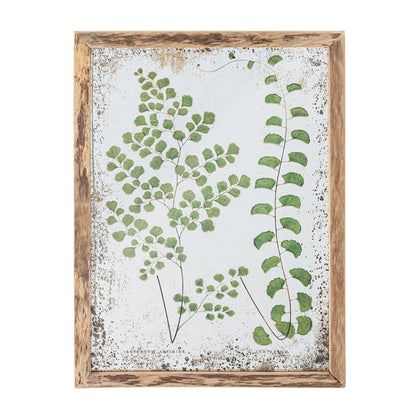 Kreativ samling tipper illustrasjon med ramme, natur, furu