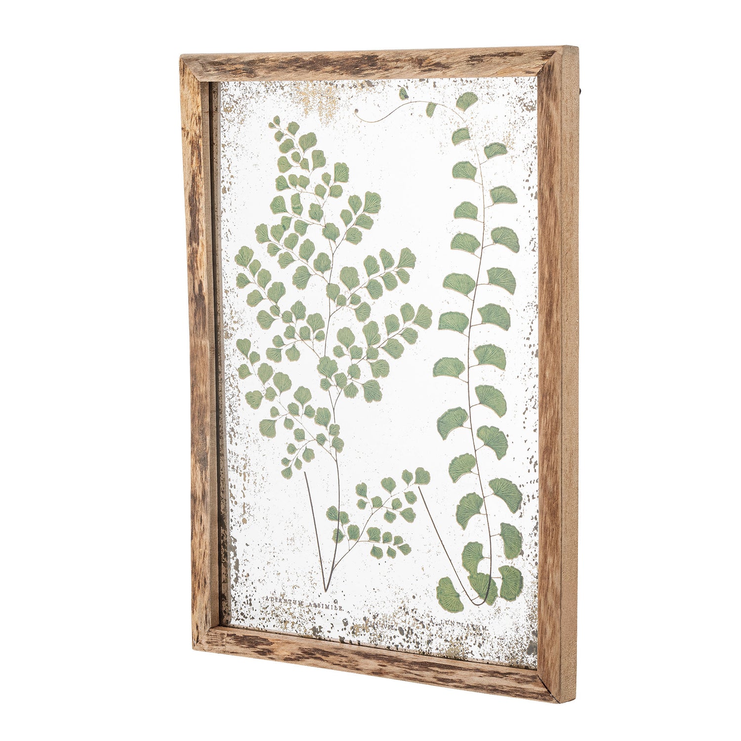 Kreativ samling tipper illustrasjon med ramme, natur, furu