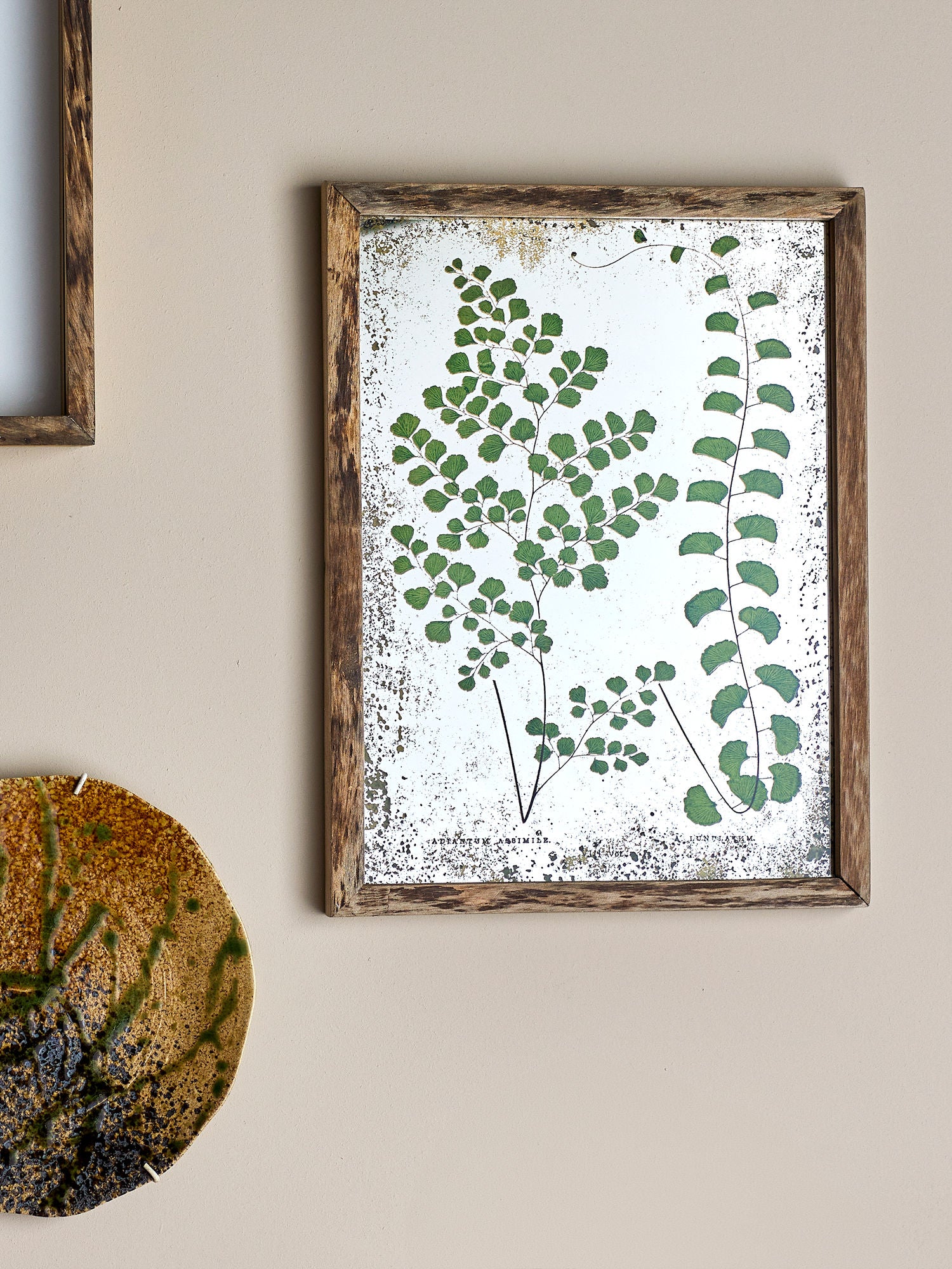 Kreativ samling tipper illustrasjon med ramme, natur, furu