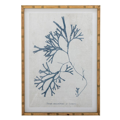 Kreativ samling sumner illustrasjon med ramme, natur, furu