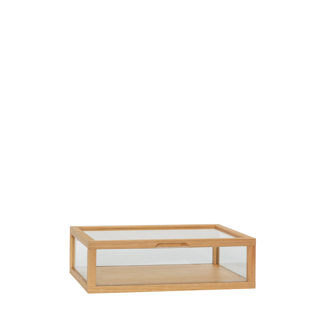 Vis utstilling Montre liten natur - 40x30xh12cm
