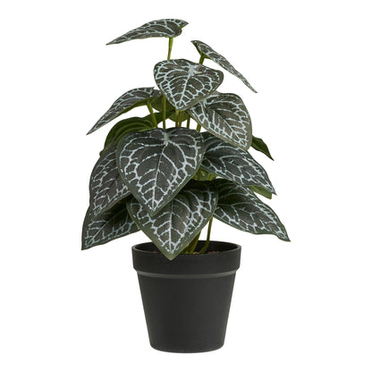 Kunstig plante - plante, grønn H: 33 cm