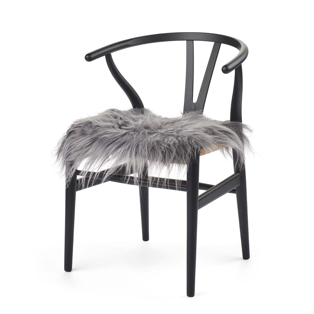 Setepute |  Langhåret | Island | 40x40 cm