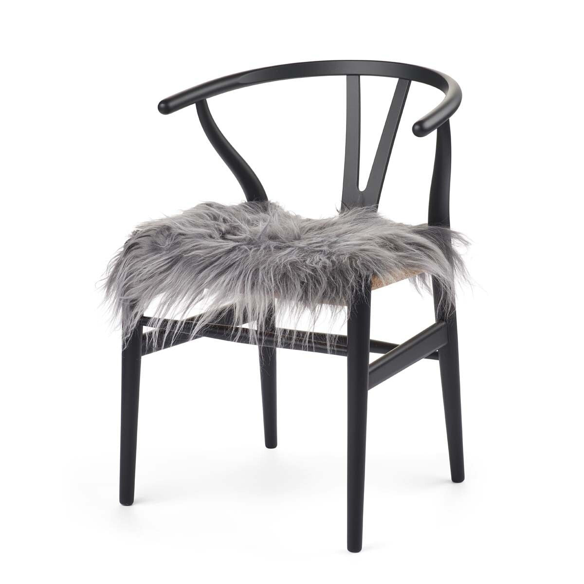 Setepute |  Langhåret | Island | 40x40 cm