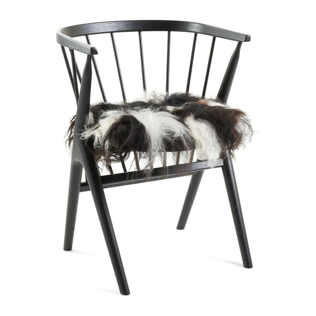 Setepute |  Langhåret | Island | 40x40 cm