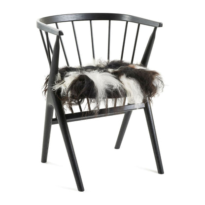 Setepute |  Langhåret | Island | 40x40 cm