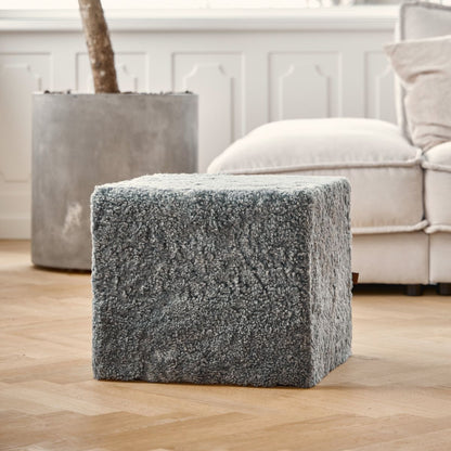 Puff | Korthåret | New Zealand