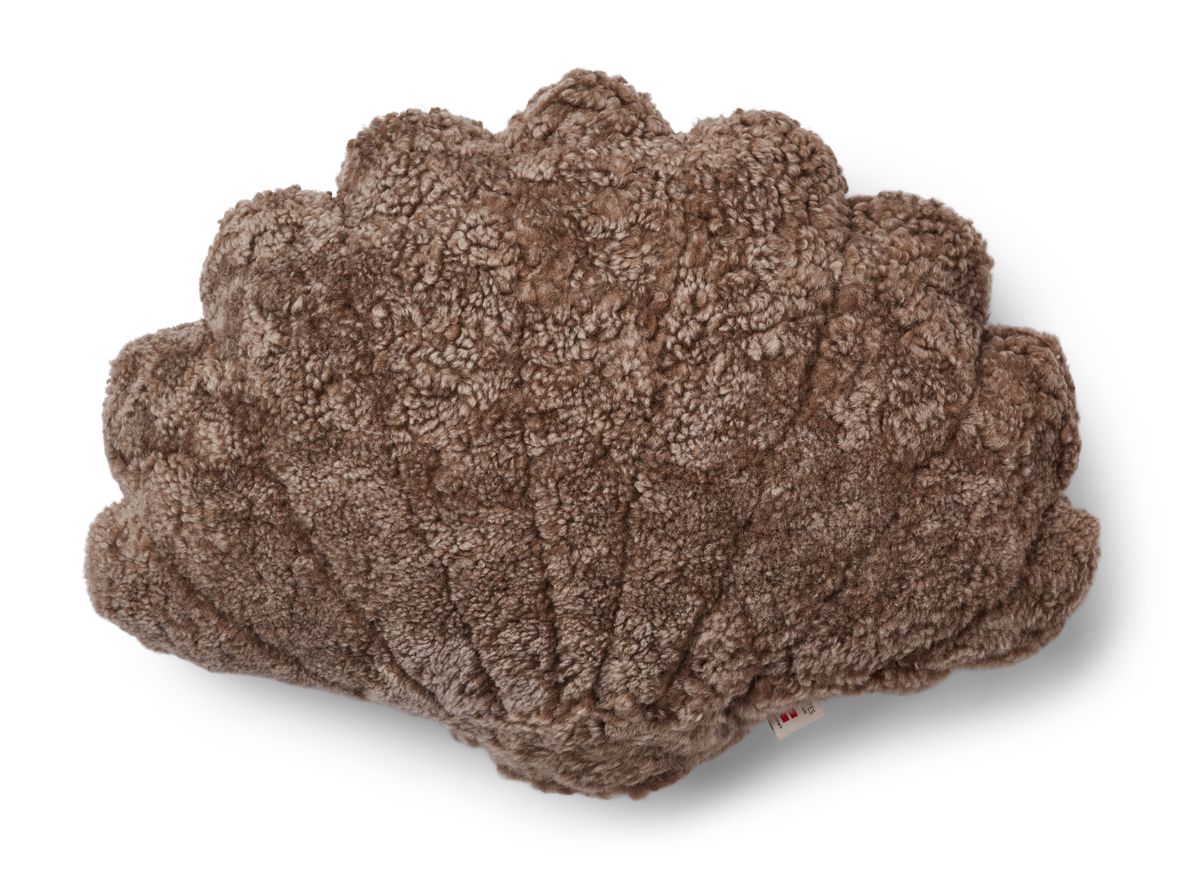 Skallpute | Korthåret | New Zealand