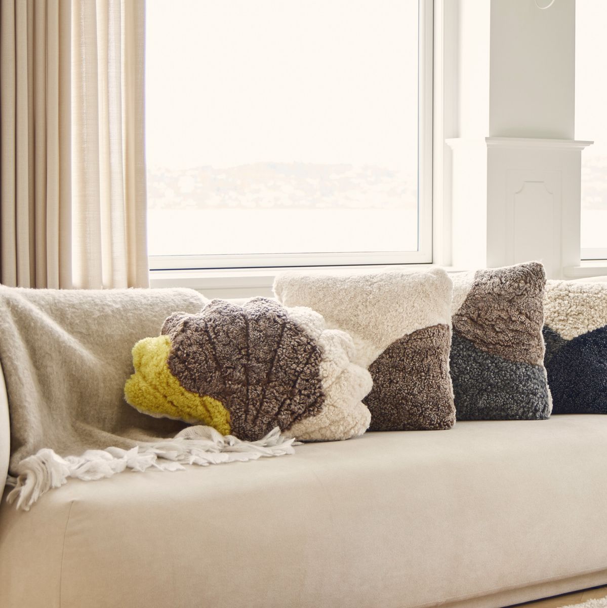 Trefarget skallpute | Korthåret | New Zealand