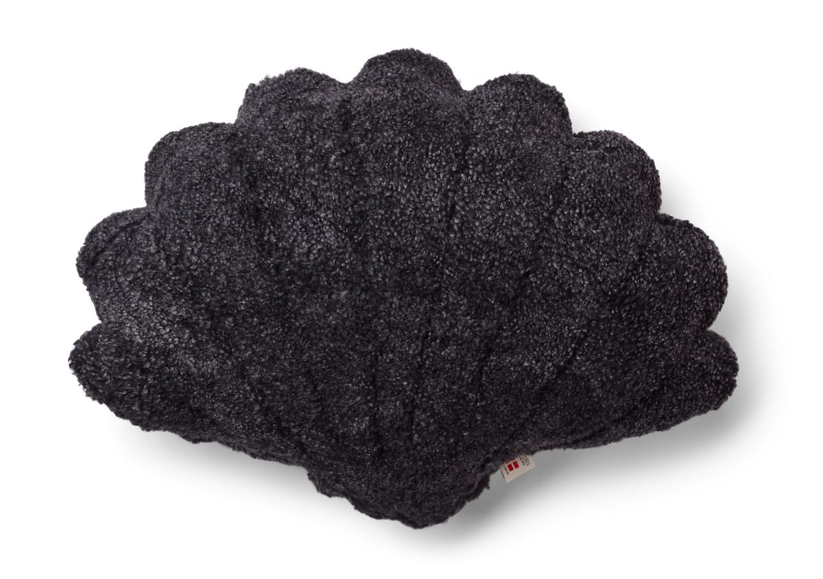 Skallpute | Korthåret | New Zealand