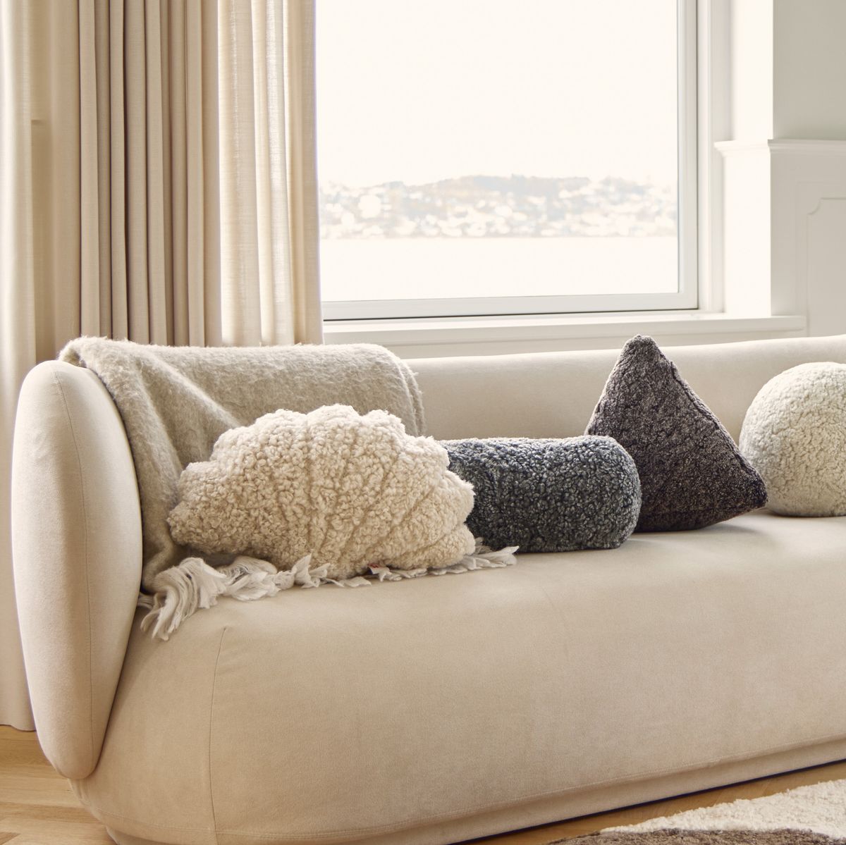 Skallpute | Korthåret | New Zealand