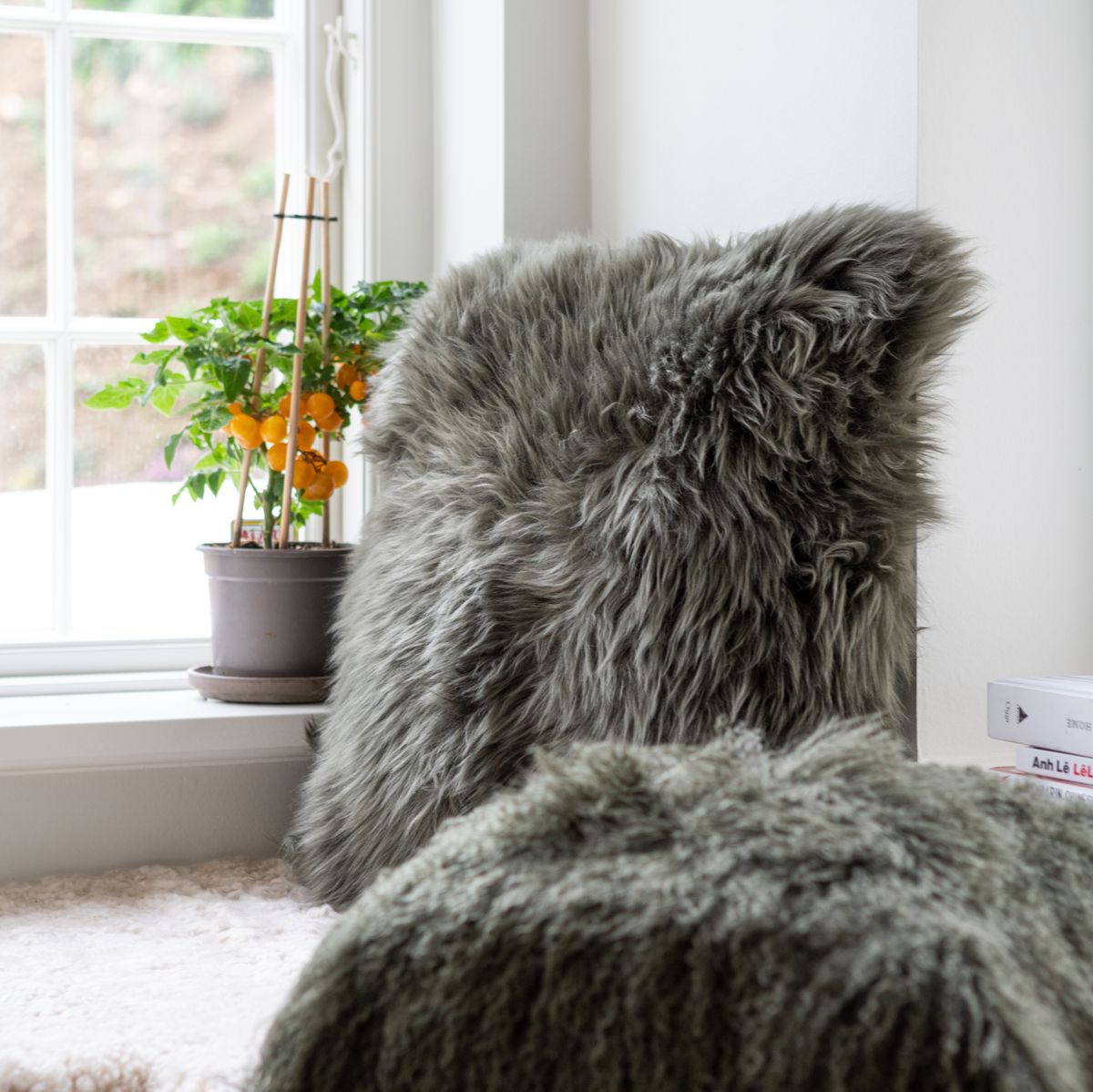 Lammeskinnspute | Langhåret | New Zealand | 50x50 cm