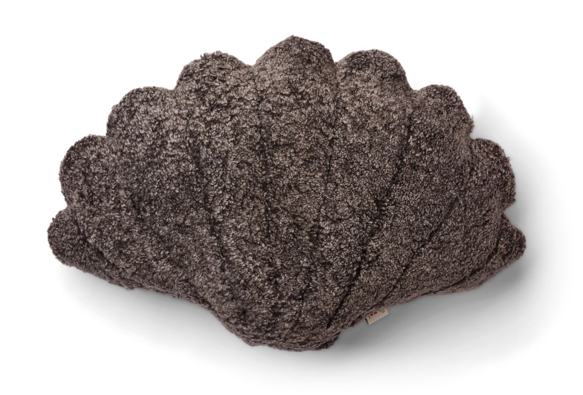 Skallpute | Korthåret | New Zealand