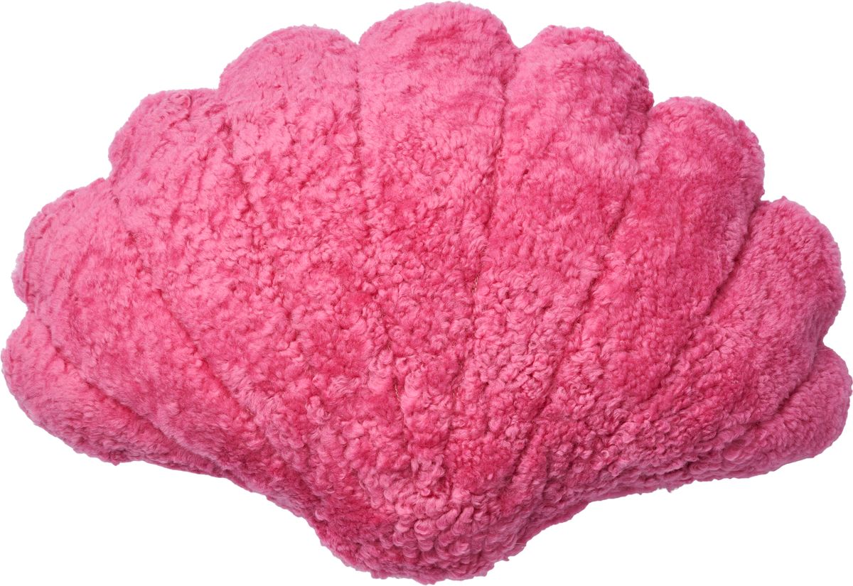 Skallpute | Korthåret | New Zealand